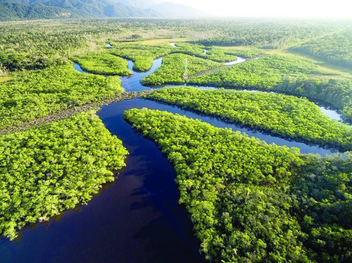 pedrorousseff's tweet photo. 🚨HISTÓRICO! Governo Lula REGISTRA MAIOR QUEDA de DESMATAMENTO na Amazônia dos últimos 10 ANOS!

Alertas RECUARAM 36,87% e a área desmatada CAIU para 2.874 km², o MENOR NÍVEL DA SÉRIE HISTÓRICA!

O BRASIL DE LULA RESPEITA NOSSAS RIQUEZAS NATURAIS! 🦑🇧🇷🌳 https://t.co/vMwbCW4cyF