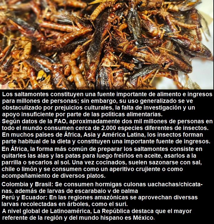 MARINA56501623's tweet photo. #Diversidad culinaria. https://t.co/DHSrpvTr4n