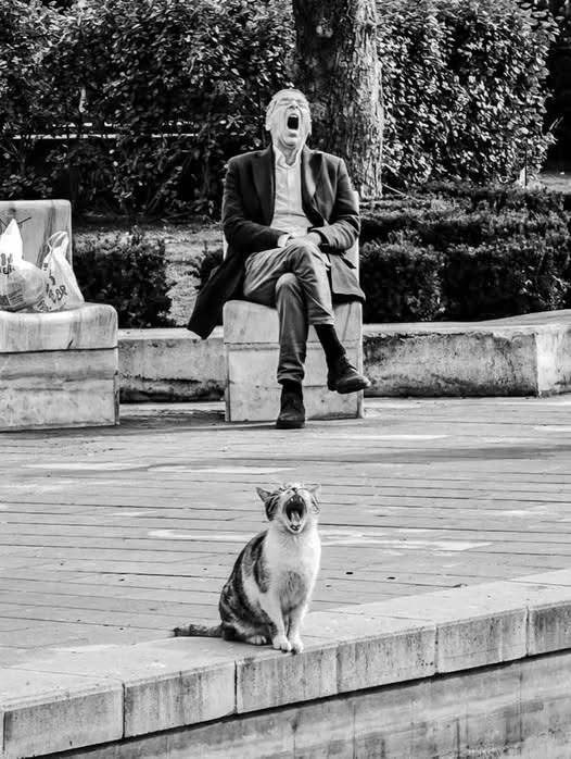 IrenaBuzarewicz's tweet photo. Saturday https://t.co/PmxDoG2Sbm