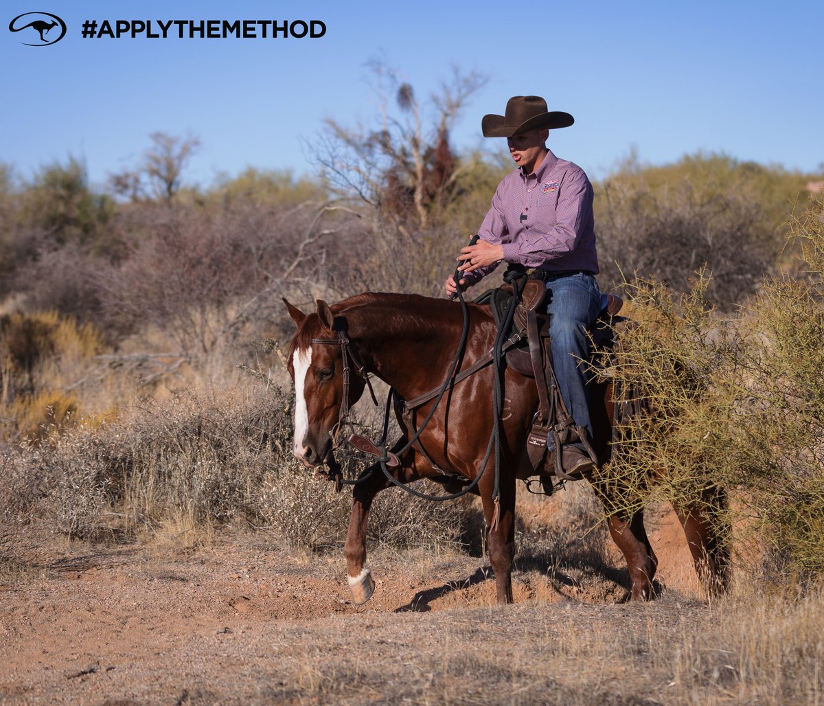 DownunderHorse's tweet photo. If your horse isn’t moving forward, make sure you’re not the reason why. Riders who are timid about a horse or don’t have good balance often send their horses mixed signals by accident ➡️ https://t.co/qNpNCLxIPW
#ApplyTheMethod https://t.co/ShHlwKtmI7