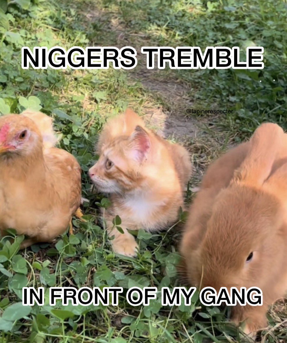 lapinerespecter's tweet photo. https://t.co/5PniRTpIIW