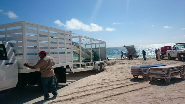 TECRECMEXICO's tweet photo. @OscarReboraQRoo @GobiernoMX @GobQuintanaRoo @SEMAR_mx Difiero un poco con usted, contamos con otro proyecto y otra estrategia.Tenemos experiencia. Este equipo fue uno de los componentes de nuestro proyecto integral presentado durante el año 2016 dirigidos por la Dra. Guadalupe Velazquez en @LFpuertomorelos para el combate al sargazo https://t.co/pVSyXEP3R7
