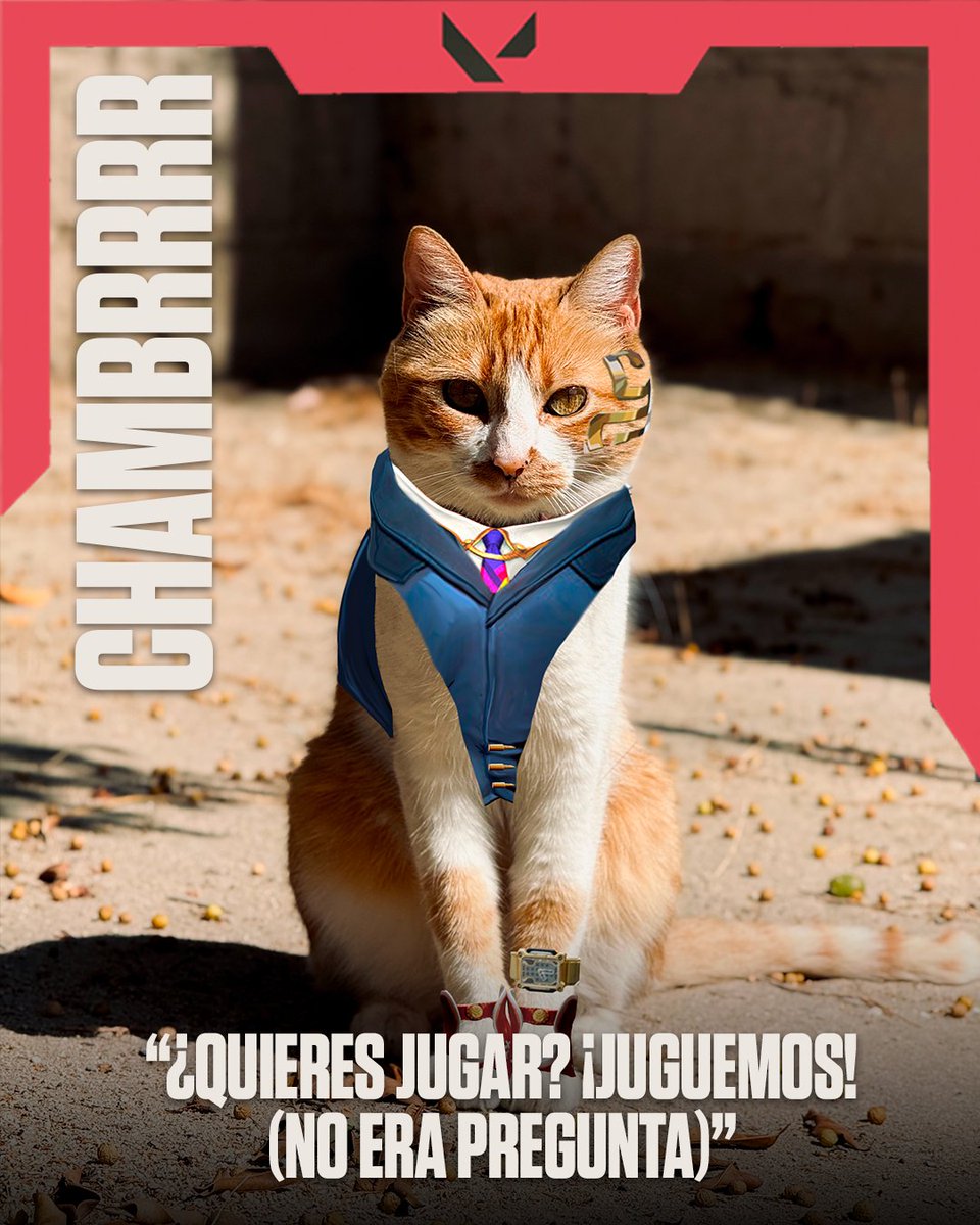 VALORANTLATAM's tweet photo. ¡Celebra el día del gato con estos michiagentes! 😻 https://t.co/DOKVq6i3On