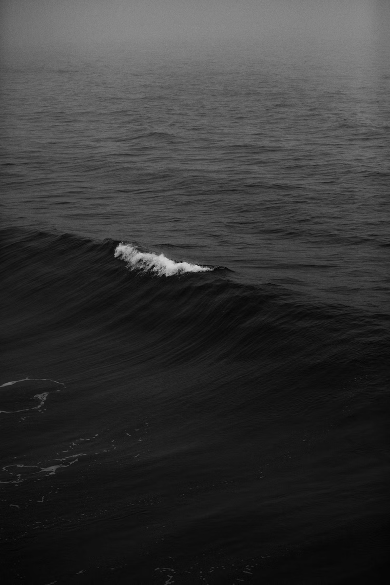 Stefan_B_Trades's tweet photo. People ask why I post waves so often. Here is the real answer

It is how everything moves. Not just markets. Everything. Price moves in waves, the soul moves in waves, the whole of a human life moves in waves. 

We rise and we fall, we plant and we harvest, the tide comes in and the tide goes out, and none of it was ever meant to last, because none of it ever has

Eminescu wrote it better than I ever could, a hundred and fifty years ago:
Vreme trece, vreme vine,
Toate-s vechi și nouă toate.

Time passes, time arrives. Everything is old and everything is new. The markets you are watching today were watched, in a different form, by people long dead, and they moved the same way, driven by the same fear and the same greed. 
Nothing about the human being has changed

He also wrote the line every trader should carry:
Tu așează-te deoparte,
 Regăsindu-te pe tine.

Set yourself apart. Find yourself again - Observe!
While the crowd chases every move, panics at every low and celebrates every high, the one who steps back and stays centered is the one who actually sees the wave for what it is. 
A cycle. A season. Something that arrives, does its work, and passes

That is why I post the waves 
To remember that everything I am living right now, the good and the hard, is one point on a curve that has been turning since long before me and will keep turning long after. 

Stop panicking at the bottoms
Stop getting arrogant at the tops
Read where you are in the cycle and act accordingly

That is trading. That is also just life
Be humble, be good, spread love and be kind