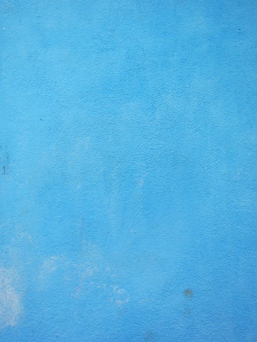BrittleBluebell tweet picture