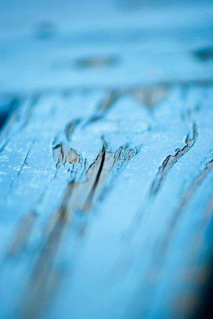 BrittleBluebell tweet picture