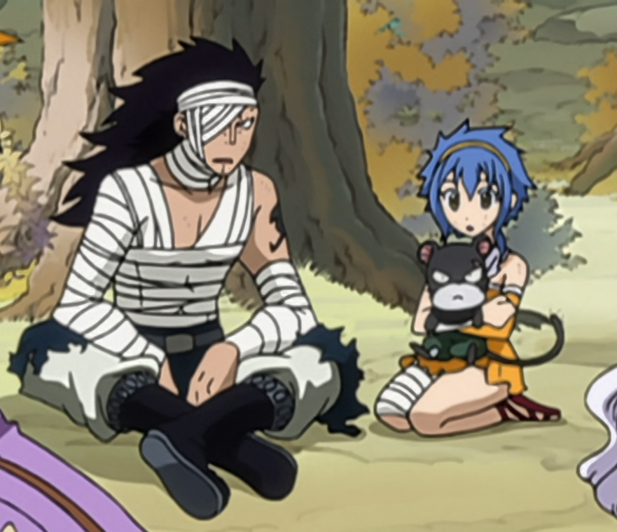 dailygajevy tweet picture