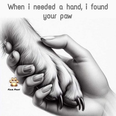 AnnaJohnsooy's tweet photo. I enioy letting my paps🐾🐕 cüm dip inside of me 🍆💦. Join my telegram 👇
https://t.co/tgAU1tk1U6…
#beastiality #zoophilia
 #dogcontent #dogmom #doglover #zoocontent #zoomom #zooareverified https://t.co/7Xxm06pto6