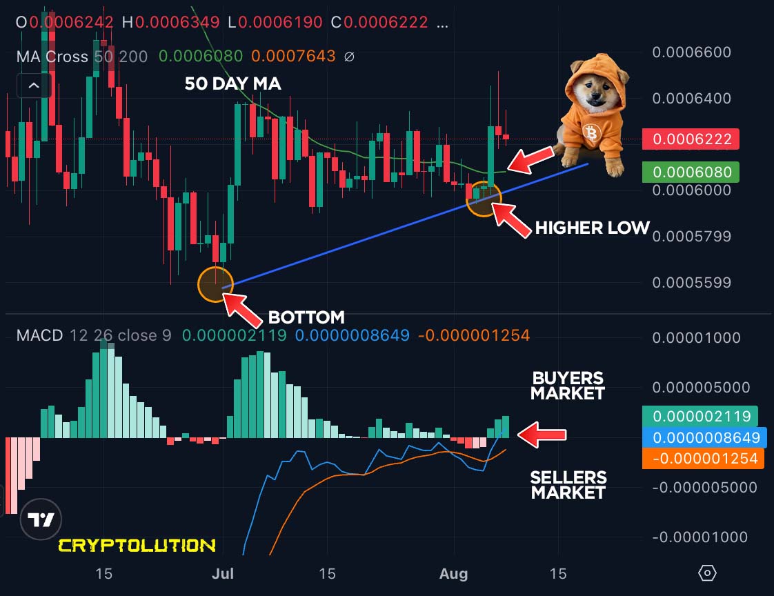 cryptolution101's tweet photo. 🚨 $DOG BULLISH SETUP? 🐕

Three things are catching my attention:

📈 Higher lows - blue trendline continues to hold
🟢 Above the 50 Day MA - reclaiming a key level
🔥 MACD turning bullish - momentum is shifting back toward buyers

The chart is starting to look very interesting. https://t.co/7ZkI3lf7W4