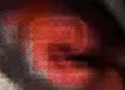 dokkanfandark's tweet photo. I'm already so hyped about Vanny's terrifying design for Security Breach 2 ๐คฉ #SecurityBreach2 #fnafSB2 https://t.co/wF2diYabRz