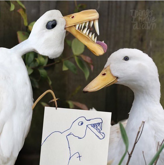 Tardimals's tweet photo. @ashrobin $Tardimals about to go crazy bro. Little kids doodles + AI = retarded cursed animals https://t.co/sseydVfync