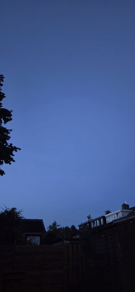 Hetleven___'s tweet photo. Ik zag een vleermuisje, helaas te laat om een foto te maken😍. Wat een heerlijk avond. https://t.co/vYjdKNb0GE