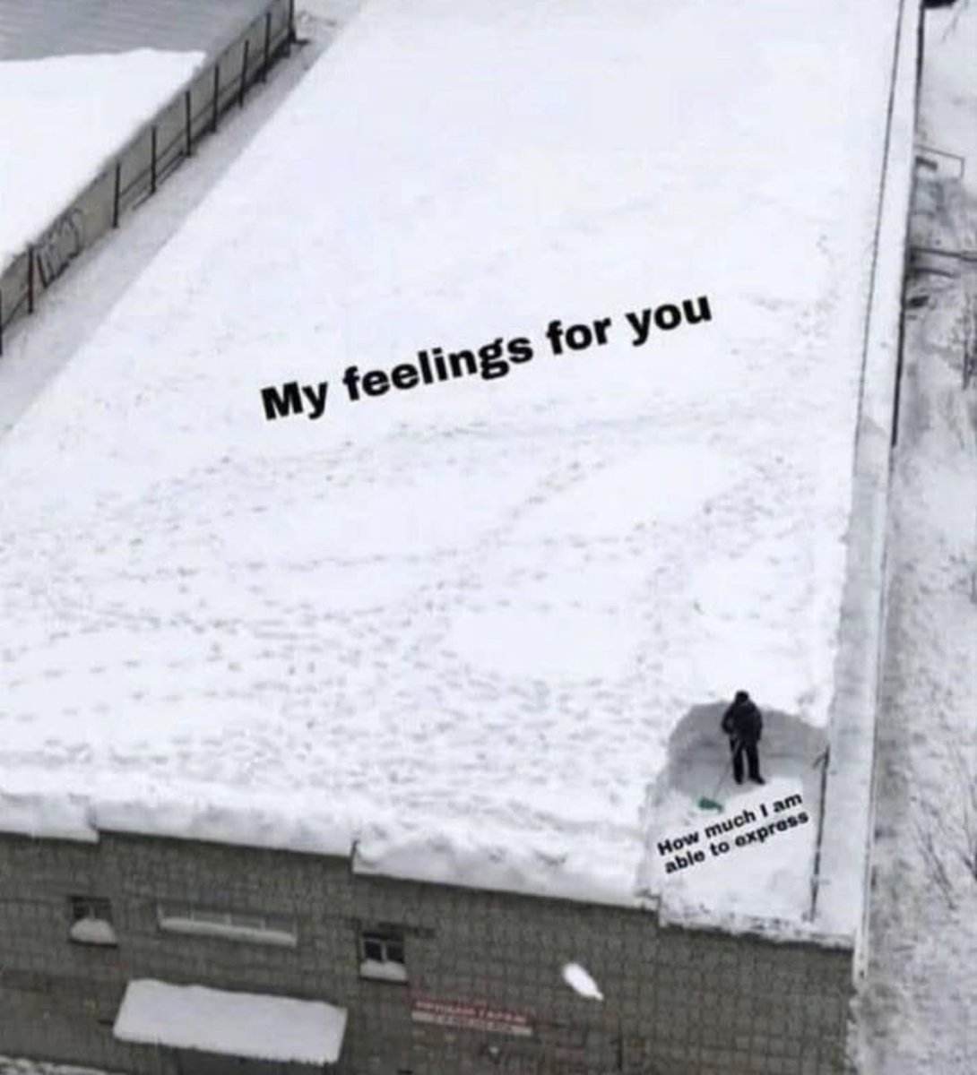RespectfulMemes's tweet photo. https://t.co/zsGTR8KDsm