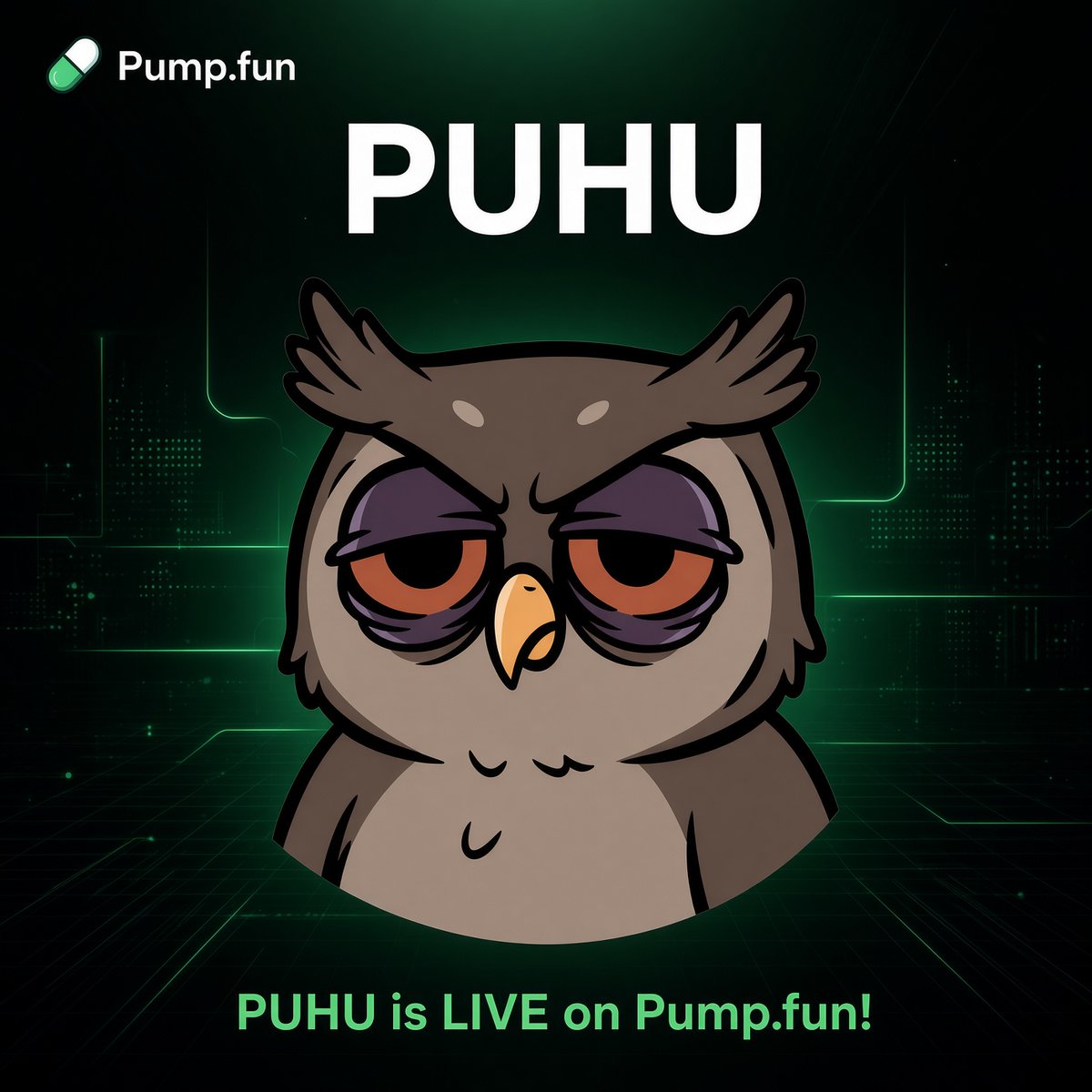 PuhuSOL's tweet photo. BIG BANG 💣 $PUHU is LIVE 🚀
Let's go into trade and get this bird to the moon
The time has come
The real crypto community is here
Take your bad luck with you
$PUHU is already rising like the MOON

https://t.co/niEbNOVKk0

https://t.co/tlljCJVv3A

https://t.co/NT6DldrLTN

#Solana $SOL $BTC #MemeCoin #NFT #Next