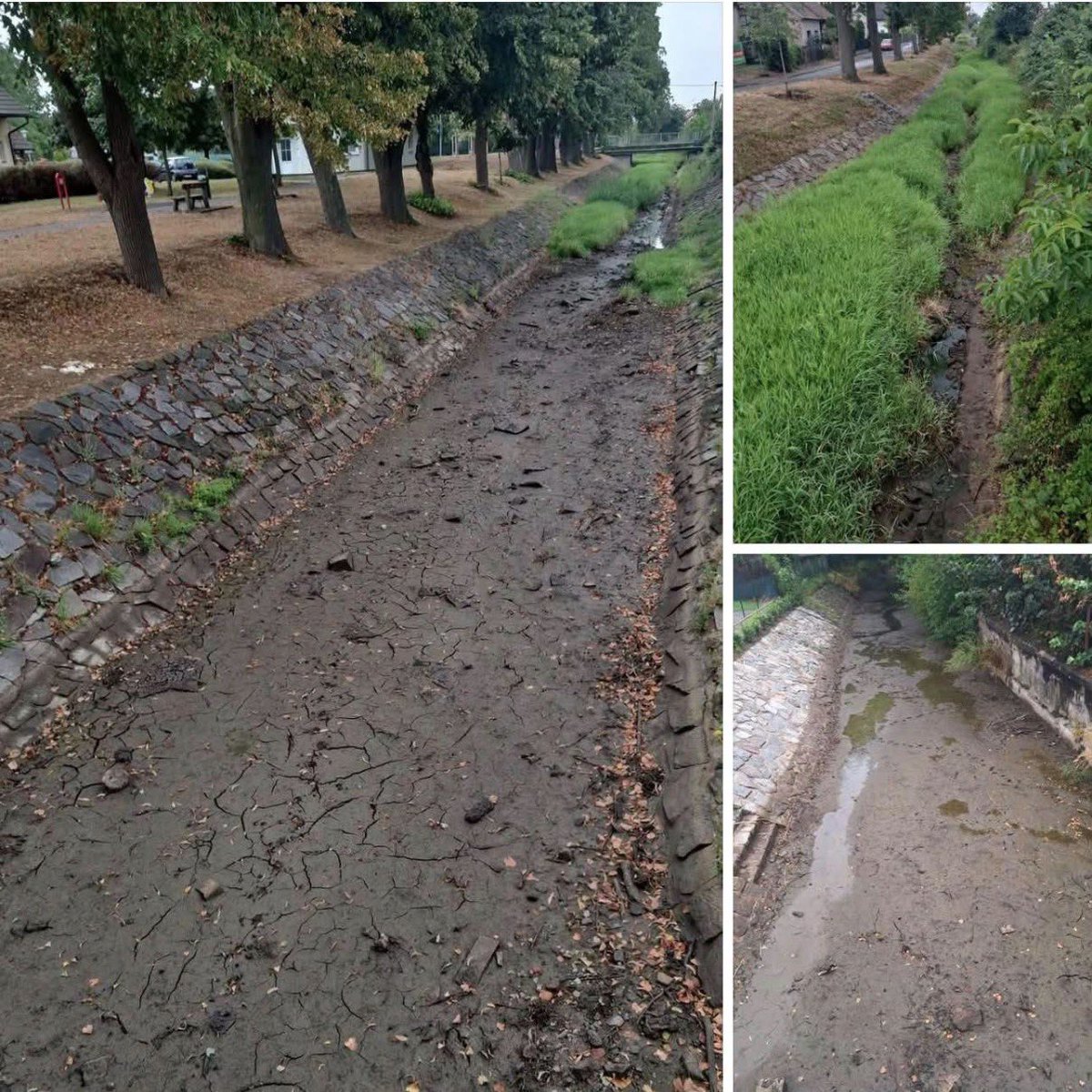 Butchi_9O5's tweet photo. Čas na další rant.

Tentokrát se to bude týkat sucha -  a rovnou upozorňuju, že budou lítat sprosty slova.

Velice živě si pamatuju povodně na Moravě v roce 1997 i v Čechách 2002. Kolem vody se pohybuju celej život, takže zejména na Moravě jsem všechny řeky znal před a po. A to, co se tam napáchalo, ve mně vyvolává návaly agresivního vzteku.

Nevim, kterej pičus tehdy seděl na povodí a na MZe, ale od té doby se beztak změnil akorát holý kokot, takže všechny piče, ktery s tim mají cokoliv společnyho a jsou ještě naživu, je potřeba chytit za flígr a vytřít s nima okamžitě topení. Vysvětlím proč.

Takzvany úpravy toku totiž jedou podle stejnyho scénáře - chce to hlavně hodně betonu, velkých šutrů a především NEMYSLET. Koryto se rozšíří minimálně na dvojnásobek a narovná, aby z toho byl krásně sterilní kanál s hloubkou 15cm, kde nepřežije ani kurva žába. Nejlepší břehy jsou potom samozřejmě ty šikmy a holy, takže pokud se někde nedejbože objeví strom, vyráží nadržená zásahovka z povodí, která hystericky šermuje motorovkou. Když pak nedejbože zaprší trochu víc, převálcuje to pár baráků níž po proudu, což je obratně využito jako argument k dalšímu betonování, protože to tak voliči přece chcou a hlavně z toho něco kápne pro spřátelenou firmu.

A pak tady samozřejmě máme fenomén jménem malé vodní elektrárny, což je z myho pohledu akorát odpornej eufemismus pro další ultimátní nástroj ke kurvení tekoucích vod, protože hrabiví zmrdi, kterym patří, mají úplně v piči nějaky minimální průtoky pod jezem, kterej mimochodem taky znamená další beton v korytě. Hlavně, aby se točily čísílka na elektroměru. Taktéž gratuluji ČIŽP k naprosté zbytečnosti a neschopnosti tohle vymáhat.

Rozhodně taky nelze opomenout běžny lidi, kteří se chovají jako úplny kundy, protože si z řek a potoků dělají smetiště, kam hážou kdejakej bordel (plechovky, pneumatiky, mrtvy zvířata, starej sporák, ledničku), nebo do nich vypouští svoje sračky, protože se jim nechce platit za hovnocuc a voda to přece odnese. O napouštění bazénů nebo kropení anglických trávníků, protože JÁ bez toho přece nemůžu žít, se ani rozepisovat nebudu, protože je to ignorantství nejhrubšího zrna a dotyčným bych tu hadicu zarazil hodně hluboko do prdele.

Takže kombinací tady těchto faktorů se nám konečně povedlo to pořádně odjebat a pak nějakyho dementa z povodí napadne se na sockách pochlubit, že upravili 28,5m koryta do meandrů a stálo to jenom 18 tintilionů. S tímhle se můžou jít akorát tak vymrdat.

Kombinace ocasů z SPD + Motůrků na ministerstvu životního prostředí, resp. zemědělství, garantuje, že to půjde do ještě hlubší řiti. Bájo.
