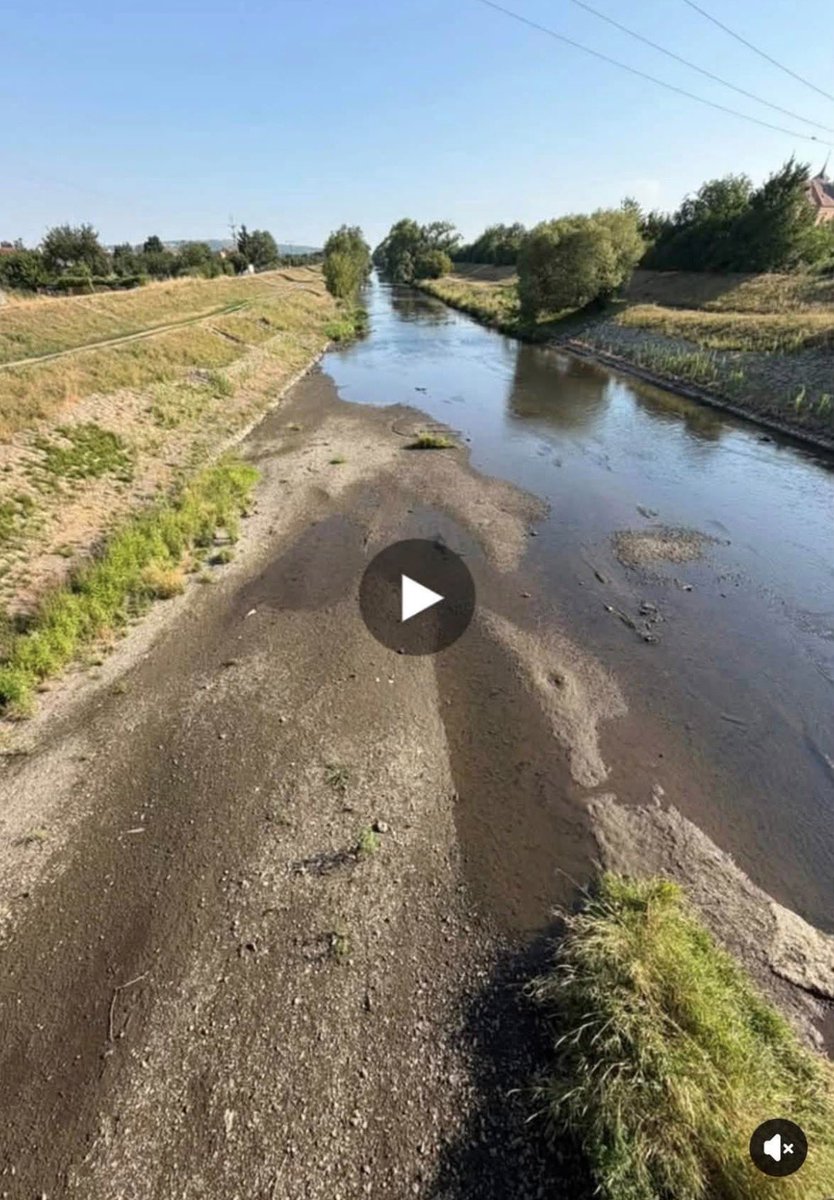 Butchi_9O5's tweet photo. Čas na další rant.

Tentokrát se to bude týkat sucha -  a rovnou upozorňuju, že budou lítat sprosty slova.

Velice živě si pamatuju povodně na Moravě v roce 1997 i v Čechách 2002. Kolem vody se pohybuju celej život, takže zejména na Moravě jsem všechny řeky znal před a po. A to, co se tam napáchalo, ve mně vyvolává návaly agresivního vzteku.

Nevim, kterej pičus tehdy seděl na povodí a na MZe, ale od té doby se beztak změnil akorát holý kokot, takže všechny piče, ktery s tim mají cokoliv společnyho a jsou ještě naživu, je potřeba chytit za flígr a vytřít s nima okamžitě topení. Vysvětlím proč.

Takzvany úpravy toku totiž jedou podle stejnyho scénáře - chce to hlavně hodně betonu, velkých šutrů a především NEMYSLET. Koryto se rozšíří minimálně na dvojnásobek a narovná, aby z toho byl krásně sterilní kanál s hloubkou 15cm, kde nepřežije ani kurva žába. Nejlepší břehy jsou potom samozřejmě ty šikmy a holy, takže pokud se někde nedejbože objeví strom, vyráží nadržená zásahovka z povodí, která hystericky šermuje motorovkou. Když pak nedejbože zaprší trochu víc, převálcuje to pár baráků níž po proudu, což je obratně využito jako argument k dalšímu betonování, protože to tak voliči přece chcou a hlavně z toho něco kápne pro spřátelenou firmu.

A pak tady samozřejmě máme fenomén jménem malé vodní elektrárny, což je z myho pohledu akorát odpornej eufemismus pro další ultimátní nástroj ke kurvení tekoucích vod, protože hrabiví zmrdi, kterym patří, mají úplně v piči nějaky minimální průtoky pod jezem, kterej mimochodem taky znamená další beton v korytě. Hlavně, aby se točily čísílka na elektroměru. Taktéž gratuluji ČIŽP k naprosté zbytečnosti a neschopnosti tohle vymáhat.

Rozhodně taky nelze opomenout běžny lidi, kteří se chovají jako úplny kundy, protože si z řek a potoků dělají smetiště, kam hážou kdejakej bordel (plechovky, pneumatiky, mrtvy zvířata, starej sporák, ledničku), nebo do nich vypouští svoje sračky, protože se jim nechce platit za hovnocuc a voda to přece odnese. O napouštění bazénů nebo kropení anglických trávníků, protože JÁ bez toho přece nemůžu žít, se ani rozepisovat nebudu, protože je to ignorantství nejhrubšího zrna a dotyčným bych tu hadicu zarazil hodně hluboko do prdele.

Takže kombinací tady těchto faktorů se nám konečně povedlo to pořádně odjebat a pak nějakyho dementa z povodí napadne se na sockách pochlubit, že upravili 28,5m koryta do meandrů a stálo to jenom 18 tintilionů. S tímhle se můžou jít akorát tak vymrdat.

Kombinace ocasů z SPD + Motůrků na ministerstvu životního prostředí, resp. zemědělství, garantuje, že to půjde do ještě hlubší řiti. Bájo.