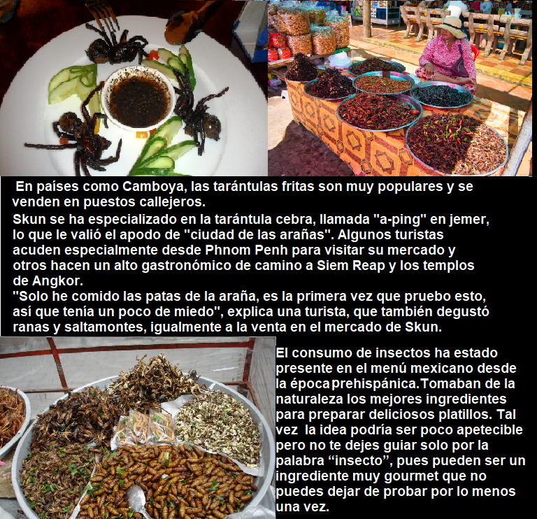 MARINA56501623's tweet photo. #Diversidad culinaria https://t.co/1JmtymClrC