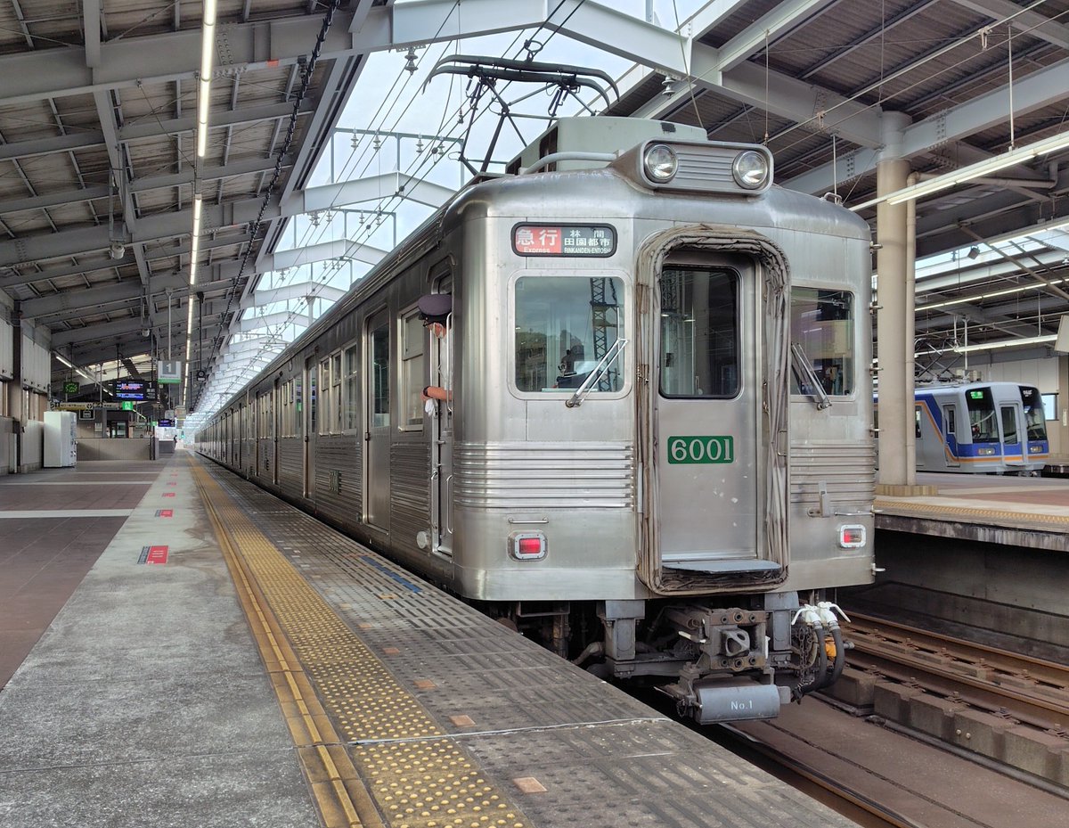 kazatetsu's tweet photo. 駅をチラ見したら居たので散歩 https://t.co/5QvvvsjQuG