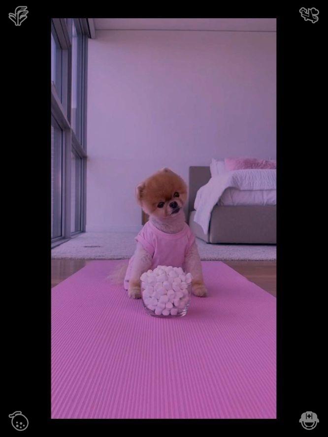 kazu_zero_'s tweet photo. 🤷Chicken and vegetable salad574807Morning Yoga The morning is fresh https://t.co/KuCzxoQ7j7