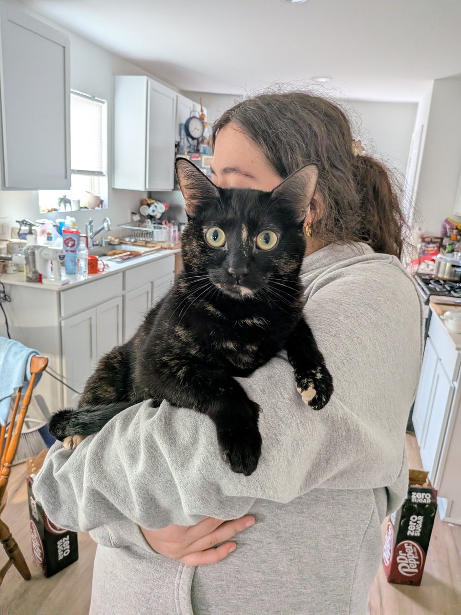 TheSpydrByte's tweet photo. I love my cats 😺 https://t.co/cGGmhBKhrc