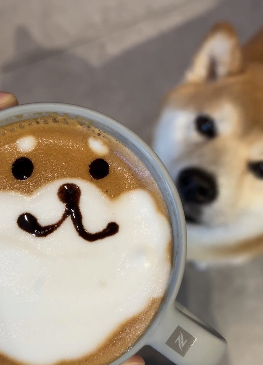 twaniimals's tweet photo. https://t.co/Nb54NkC1zY
