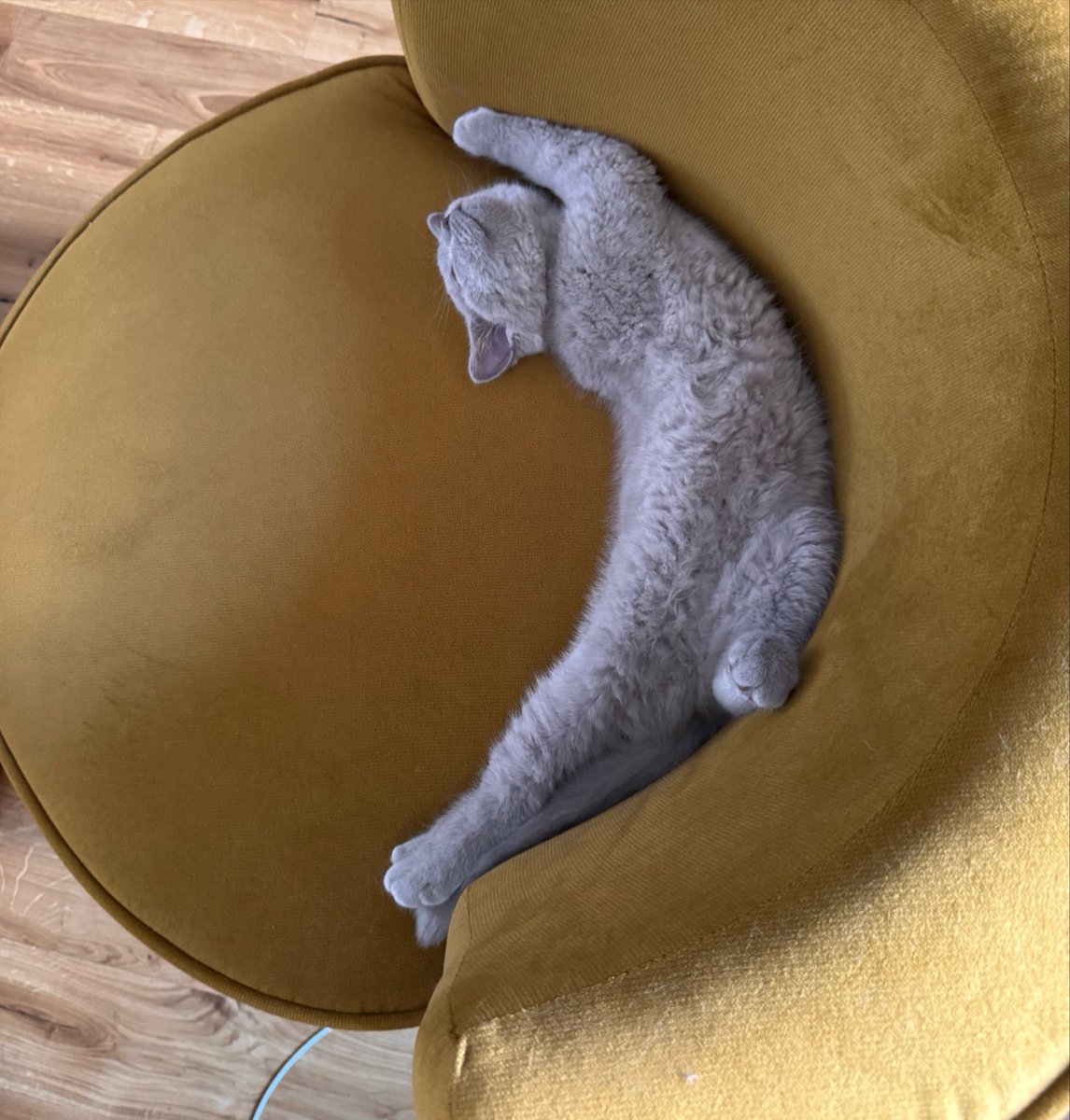 peterpicool's tweet photo. Nap 💤 https://t.co/IU1oWP8onv