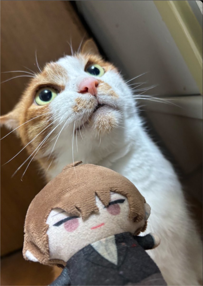 145hiyoco's tweet photo. フォトジェニックを求めて写真を漁っていた時に出てきたものを置いて仕事行ってきます（既に暑い） https://t.co/kp1JVDceJl