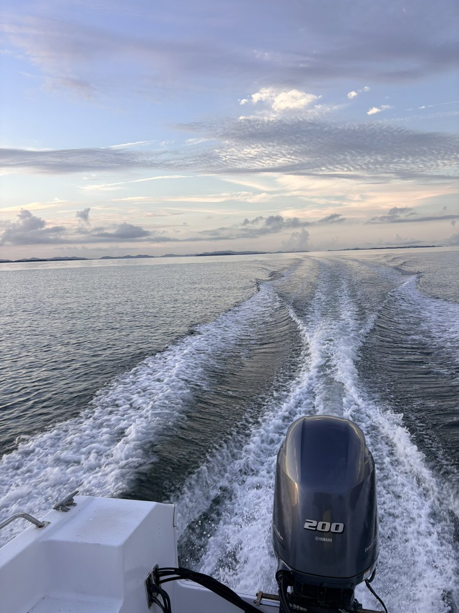 Fishing_Hora's tweet photo. 毎週船釣り行かせてくれて嫁には感謝しかない😭😭😭🩷 https://t.co/LYOX5BGIWM