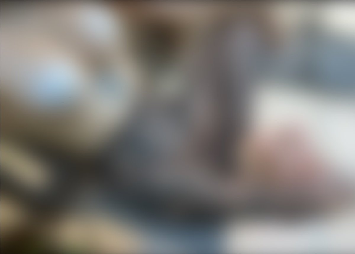 Caalyp_so's tweet photo. Est-ce que ces deux photos viennent d’être postées sur Telegram sans censure ? 

La réponse est oui 👀 🚀 https://t.co/islLc67iH3
