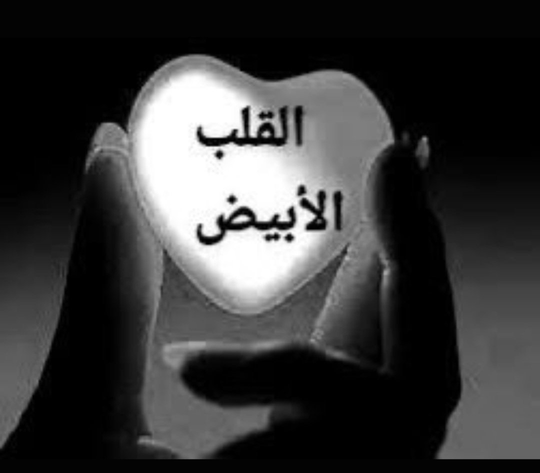 nrhassanail's tweet photo. @Ijknmny https://t.co/WneUBfZ0lx