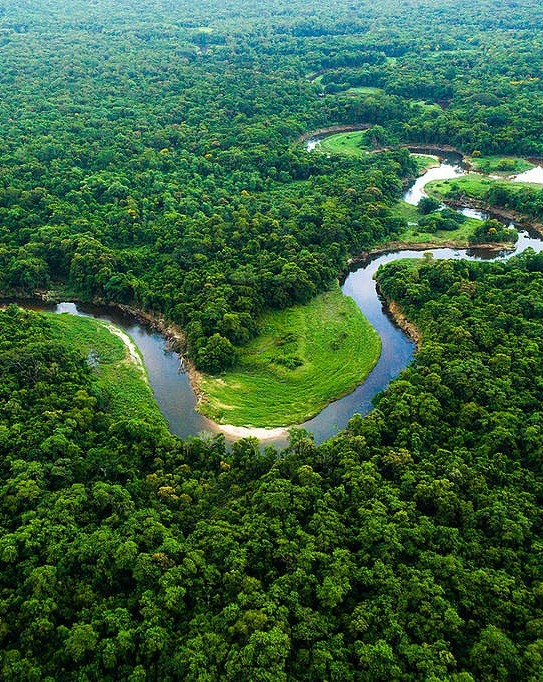 QGdoPOP's tweet photo. 🚨 Amazônia registrou o menor índice de desmatamento da história com o governo Lula. https://t.co/Q0JTUn0uyS