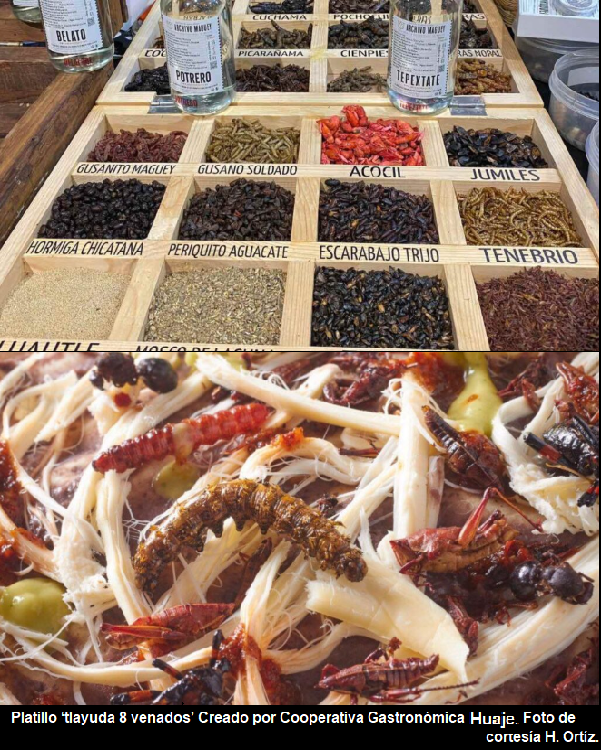 MARINA56501623's tweet photo. #Diversidad culinaria. https://t.co/XNSeCooIJh