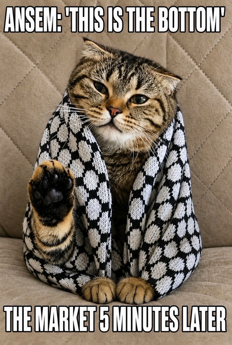 TheWagmiOG's tweet photo. Happy International Cat Day! 🐱

WAGMI! https://t.co/l2m4LRjLSd