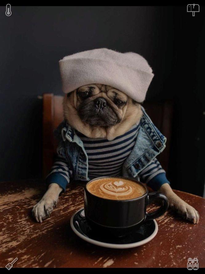 FeCunha's tweet photo. 🐘Lemon-mint tea Freshness981317Useful humorous storybook https://t.co/AGJET8Z67D