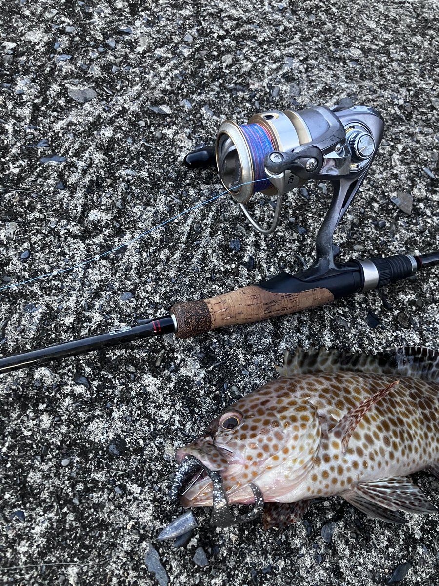 FR_car716's tweet photo. 今年初釣り！楽しい🎣 https://t.co/YZHarrCJtC