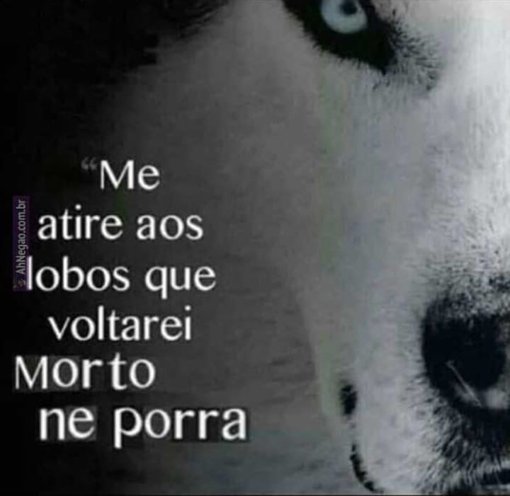 Melhoreeeee's tweet photo. 🎈🚀🦄 https://t.co/s1iaxh5wKJ