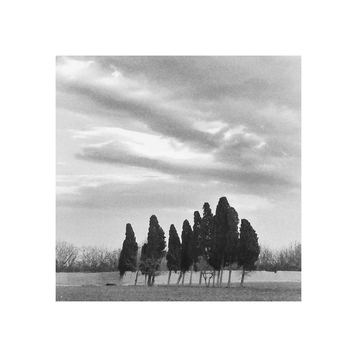 fazelpix's tweet photo. با من رجوع کن 
به ابتدای جسم
به مرکز معطر یک نطفه

_فروغ_فرخزاد_
 Iran 
 📷: fazelpix https://t.co/vbQZ2xlCmF