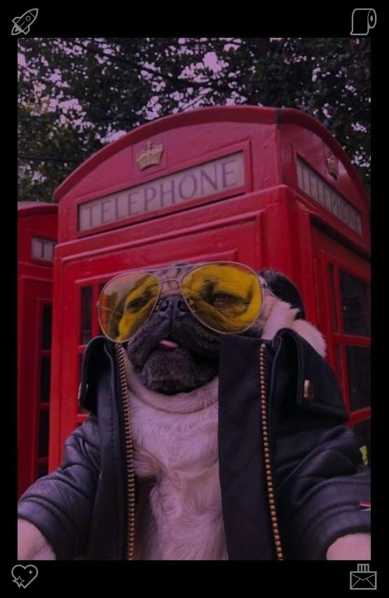 GodwillChima's tweet photo. 🚊The dog on a walkDark pencil261533Funny book with jokes https://t.co/qTRB2GzbdR