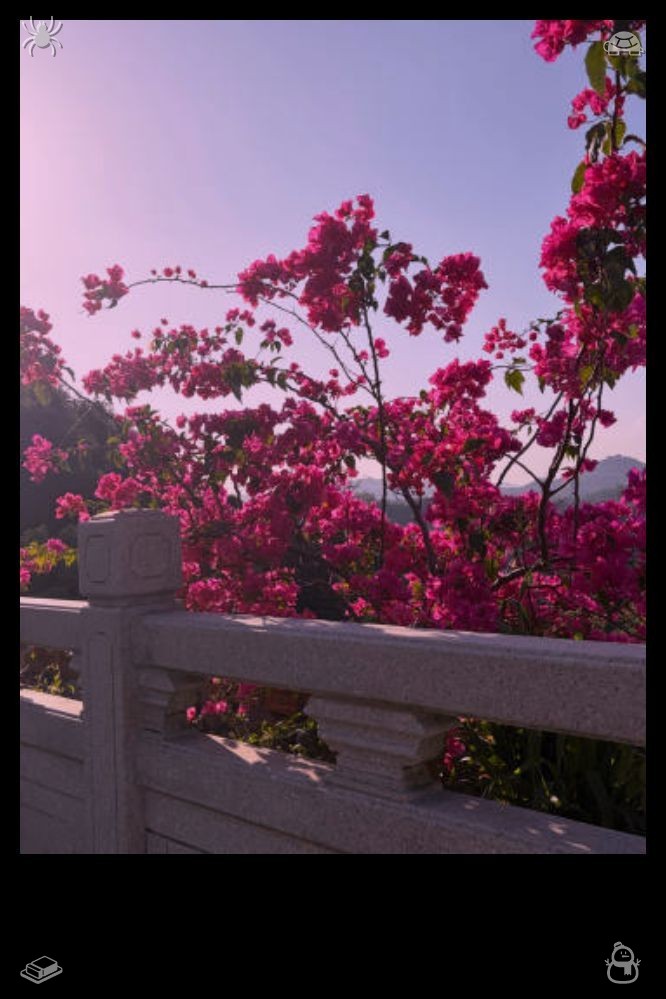 mrchrisplant's tweet photo. Clara shares with Eleanor her intention to document the love story of Mrs. Henderson and William in a book, ensuring their romance is never forgotten, and Eleanor supports her, praising the idea as truly beautiful. 🌞 The sunlight glows warmly beyond the woods. https://t.co/3Ogw68QSMa