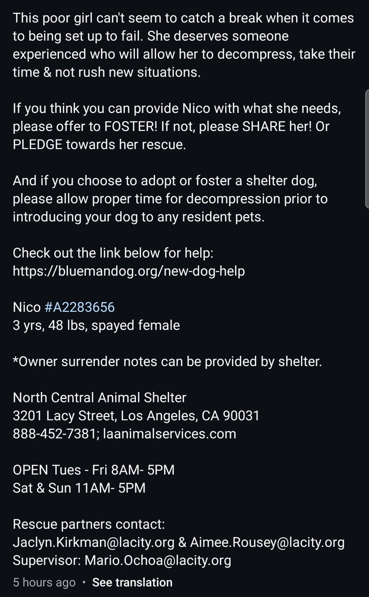 itsadogslifersq's tweet photo. NICO (f) #A2283656
3yo. #husky #siberianhusky
Adopted & returned due to "altercation w/resident dog".
>No decompression
>No slow intros (can take weeks)
When the resident dog decides who's added to the pack, it's lack of human leadership.
Kill listed 8/11 #NorthCentral #LA #CA https://t.co/Wx3O1iK7IS
