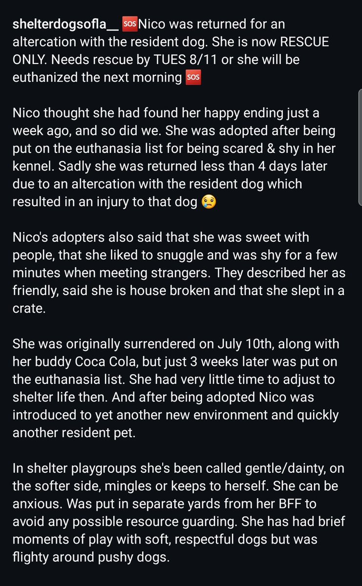 itsadogslifersq's tweet photo. NICO (f) #A2283656
3yo. #husky #siberianhusky
Adopted & returned due to "altercation w/resident dog".
>No decompression
>No slow intros (can take weeks)
When the resident dog decides who's added to the pack, it's lack of human leadership.
Kill listed 8/11 #NorthCentral #LA #CA https://t.co/Wx3O1iK7IS