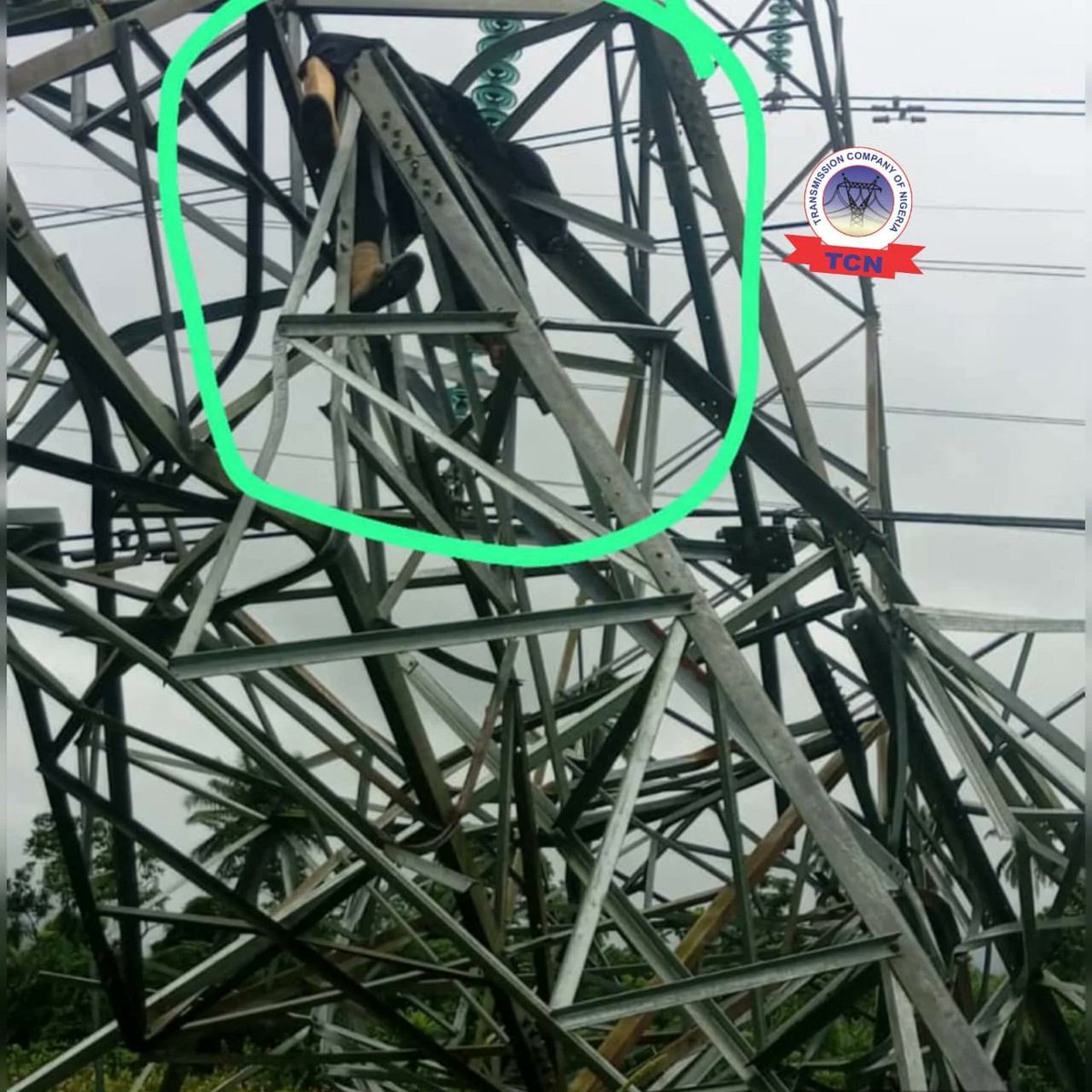 NigeriaStories's tweet photo. JUST IN: A suspected vandal was crushed to d€ath after a 330kV transmission tower collapsed along the Ughelli–Benin transmission line in Delta State https://t.co/04LNj5C7ya