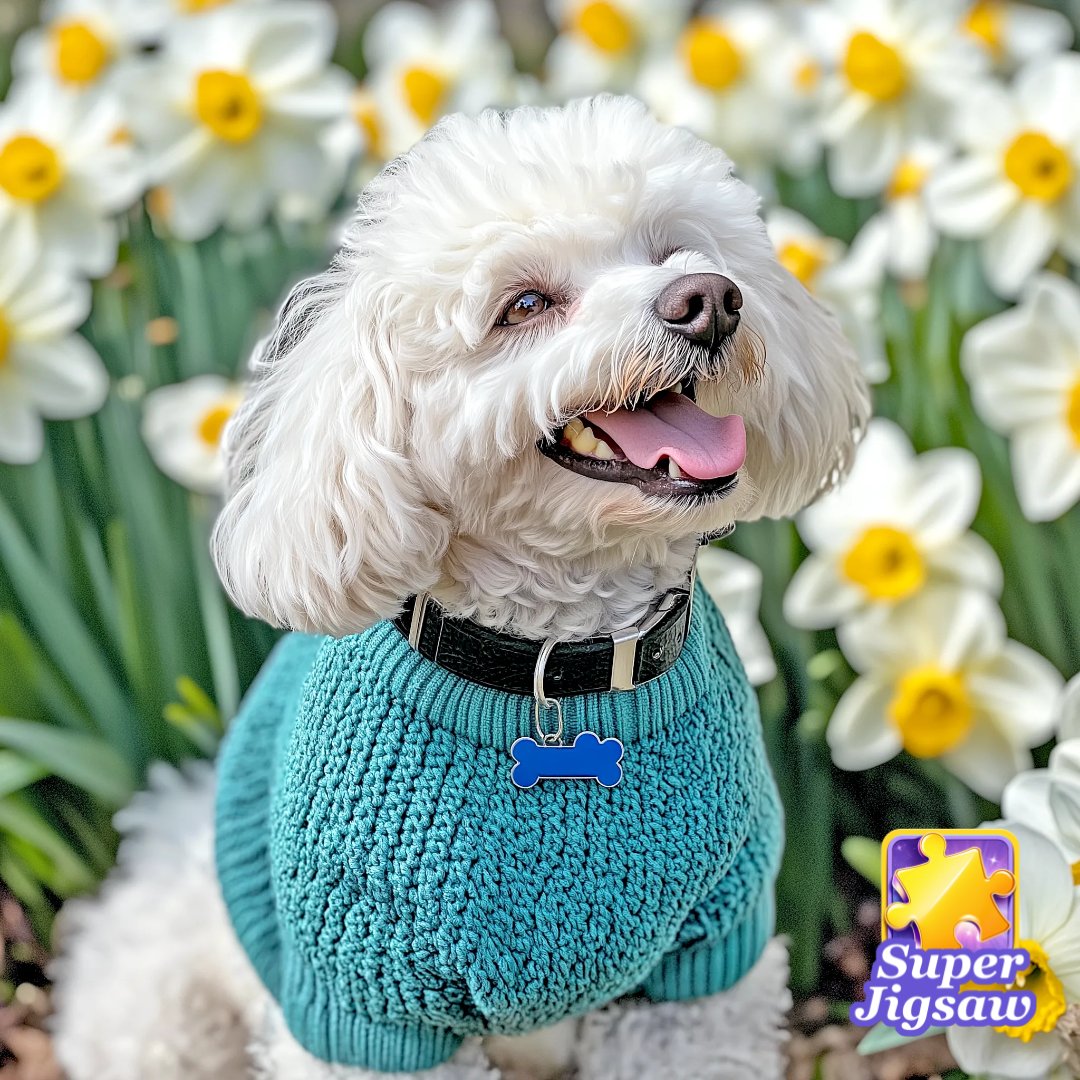 kimbhzrd's tweet photo. Super Jigsaw - HD Coloring Puzzles https://t.co/hxbtm4i3nt