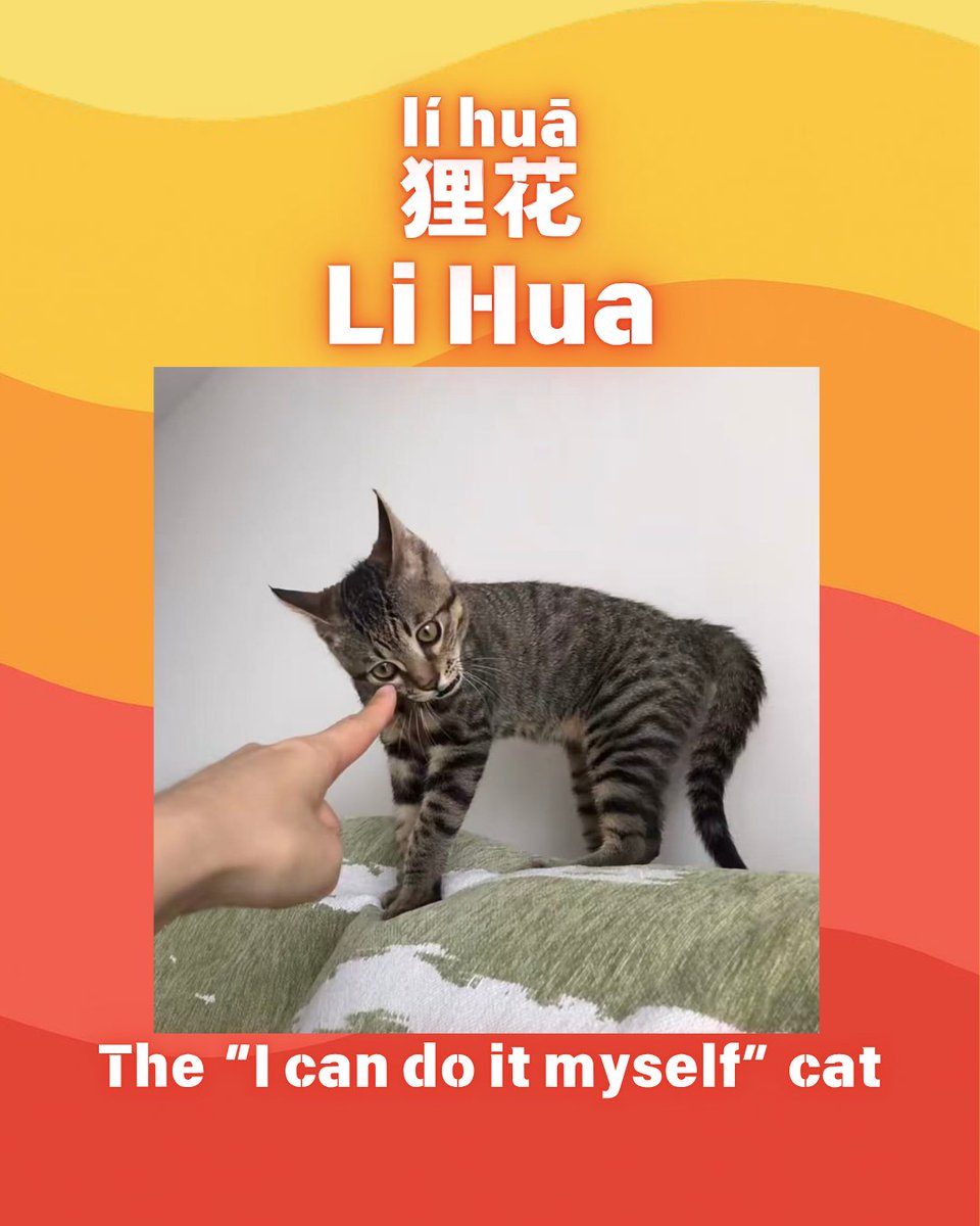 Go2Chinese's tweet photo. It’s International Cat Day!!!!!!!!!!!!!!!!
Cats may all say “meow,” but somehow…
we’ve given every kind of cat a completely different personality.
#InternationalCatDay #CatMemes #CatStereotypes #CatLovers #CatsOfTheDay https://t.co/HjswSlEwfr