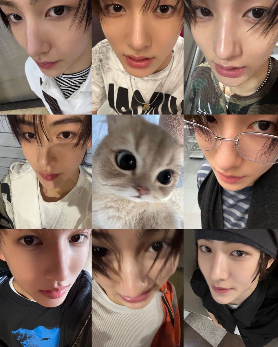 fawneom's tweet photo. happy International cat day https://t.co/VJHMRo6t0L