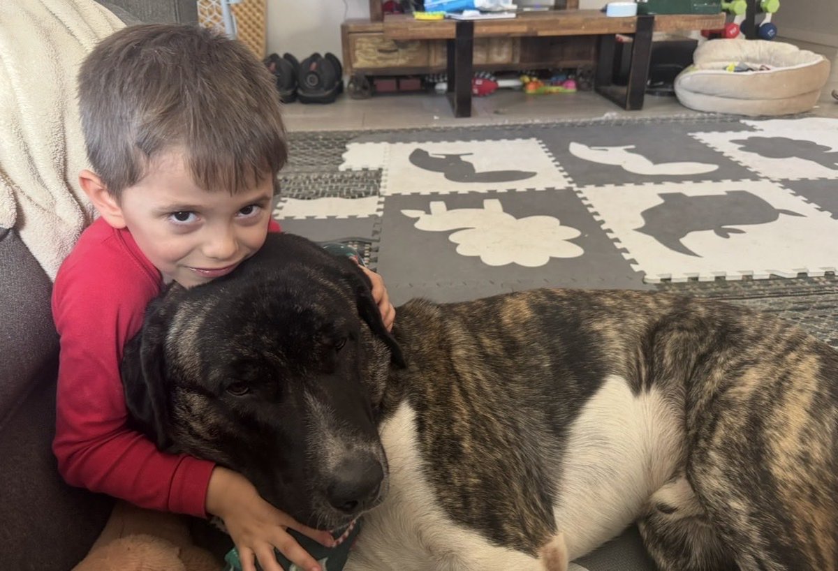 JenniferEvn22's tweet photo. My oldest giving Snuggles a giant hug around his neck and then Snuggles lied on his lap for a bit. They sure did love to snuggle together. My oldest misses the snuggles as I’m sure snuggles misses his the same
#SaveSnuggles https://t.co/WbKixcxjU9