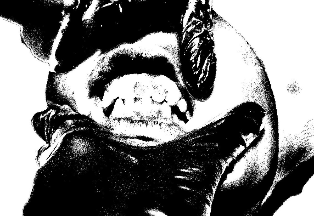 imeanwhocaresat's tweet photo. Needles

#photography
#horror
#photo https://t.co/ehMXA8M86R