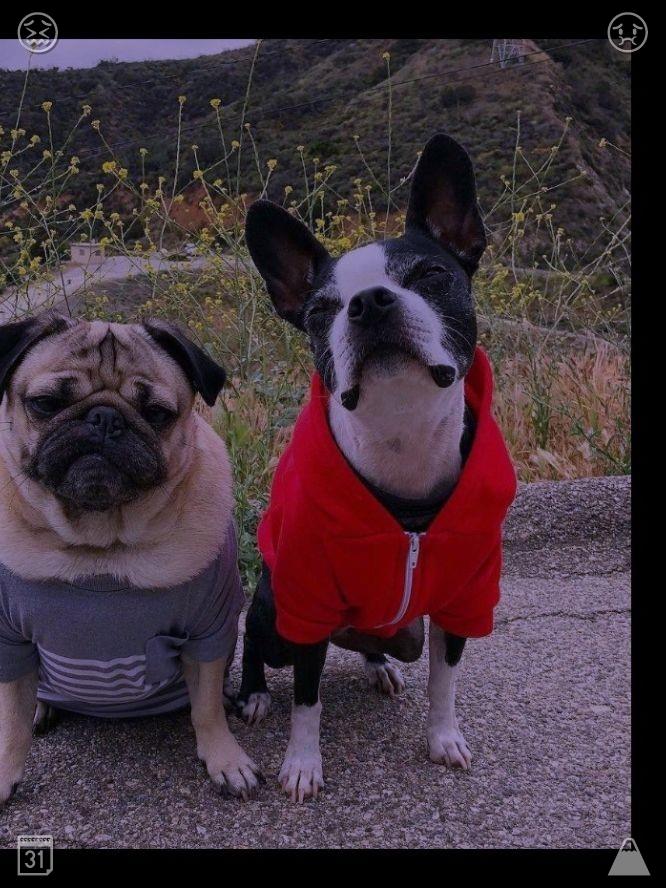 momo0524_m's tweet photo. 📻Production is not just about products, but also about sharing practical experience among colleagues435637Table hockey Goal, scored https://t.co/jVvCakXTlE