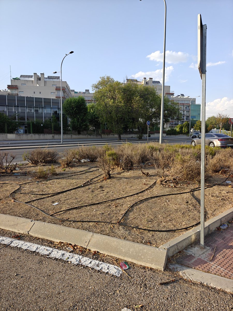 VillaDVallecas's tweet photo. Es acojonante lo que pasa con Madrid. Es que no soporto la mala gestión. No puedo. ¿Dónde están los operarios de la ciudad revisando TODO lo que hay mal? No los hay. A mucha gente, le da igual ver esto cada día. Se conforman. Y, cómo no, 0 árboles en estos parterres. Pa' qué 😓🙅🏼‍♂️ https://t.co/SP26ENzF3X
