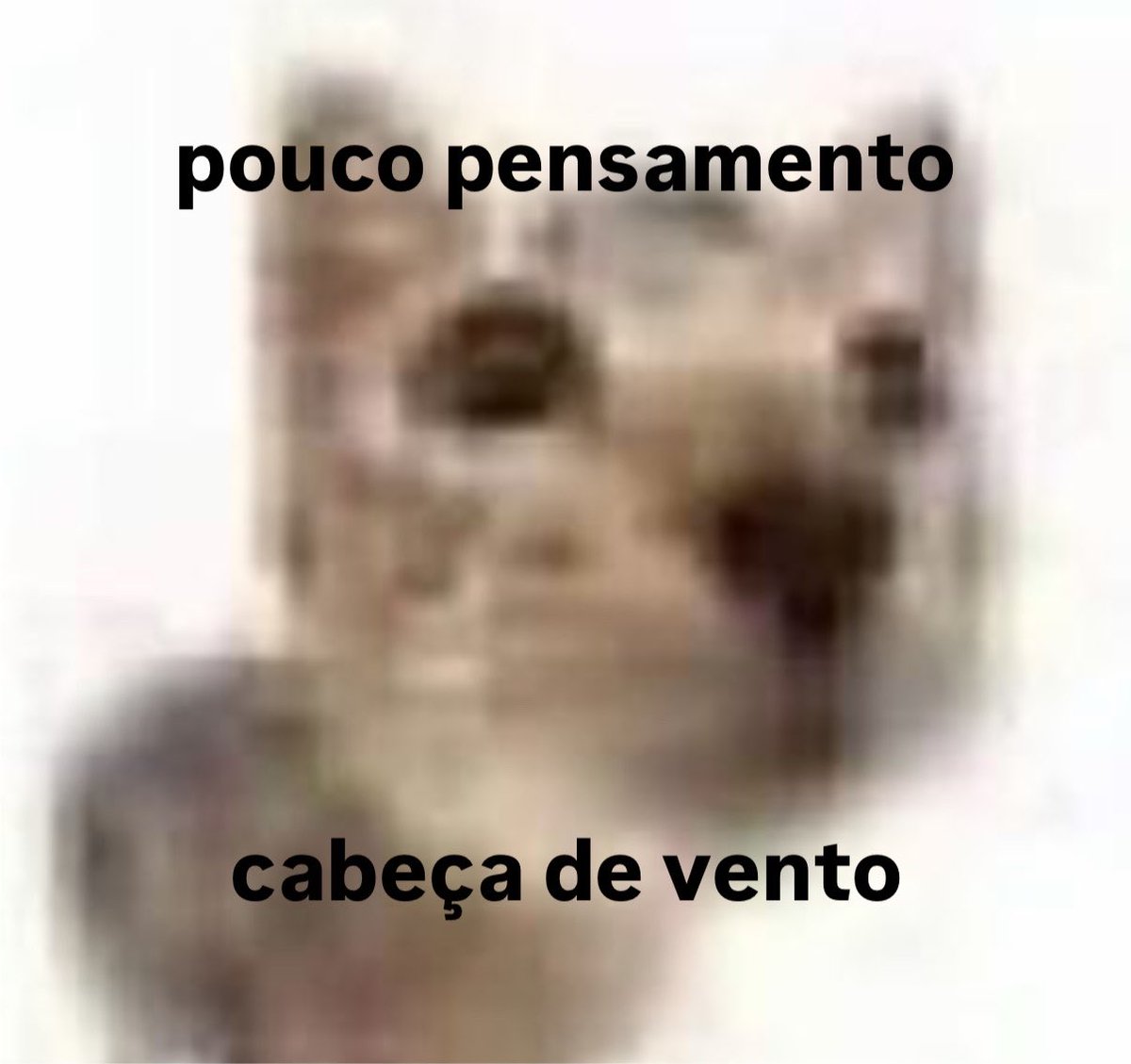 gatinarios's tweet photo. https://t.co/o5bOwX8yNb